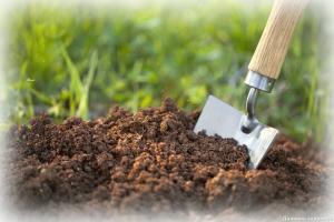 Как да проверите киселинността на почвата