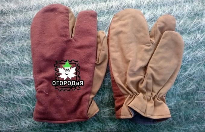 Старите ръкавици специална кройка, защо така?