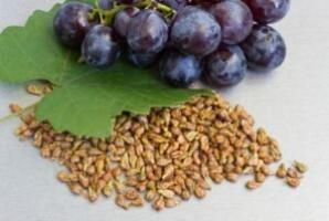Полезните свойства на гроздови семена, независимо дали те са възможни противопоказания