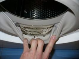 Как да премахнете миризмата на мухъл от пералнята