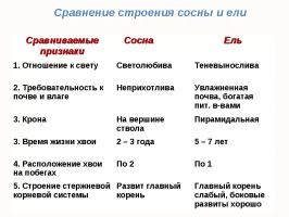 Spruce като строителен материал