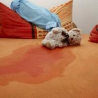 Миризмата на детския отделянето на урина от дивана и килима