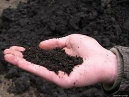 Има ли смисъл да се внос и употреба на черноземни почви на дачата