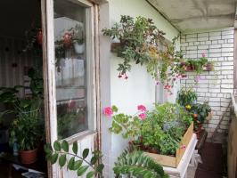 Как да оборудва зимна градина на балкона