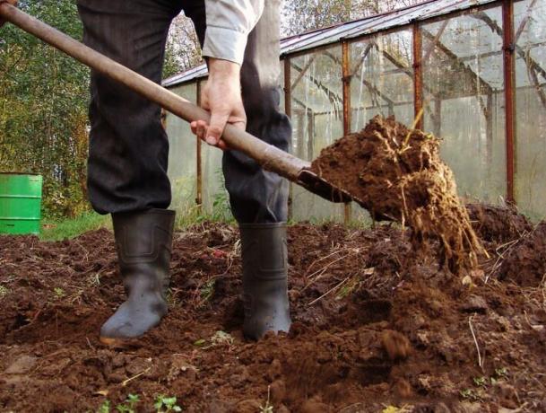 Пролет изкопаване на почвата | ZikZak