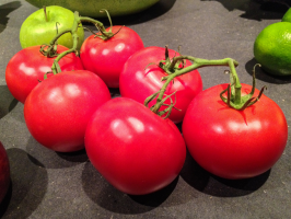 7-добрите домати джуджета сортове (на открито)