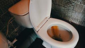 Как бързо и лесно да се почисти тоалетната от ръжда и жълта плака?