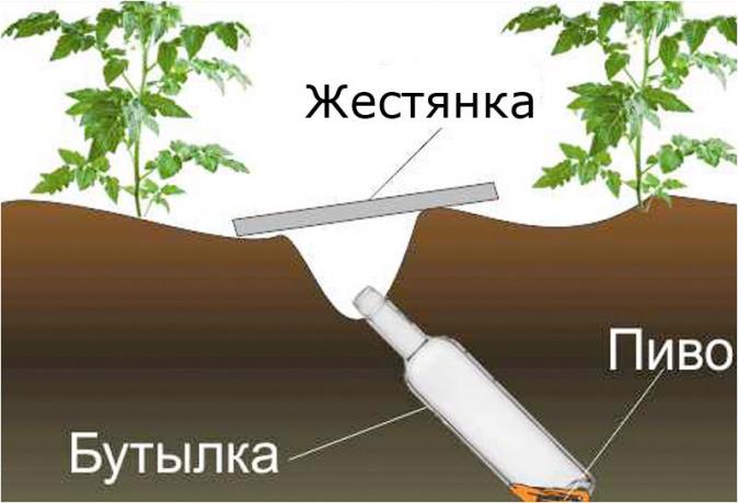дизайн схема klopkan.ru сайт
