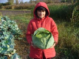 5 важни неща за вършене в градината през октомври за богата реколта през 2019 г.