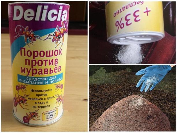 Delicia прах от мравки, цената на петстотингр, повече от 600 рубли.