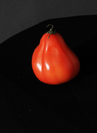 Разнообразието от домат "Puzata хижа"
