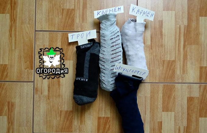 Лук набори в чорапи