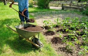 Органичните торове в градината: 5 Най-добрият човек, без химия
