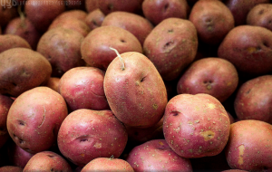 Как да съхранявате картофите да гният клубените не са