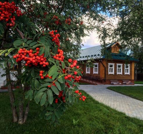 Роуън - традиционен украшение на руските села! (Снимка от playcast.ru)