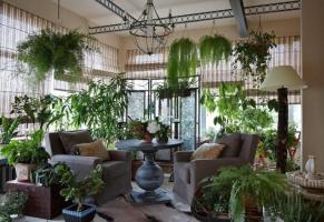 Както оригинално и стилно украсяват вашите стайни растения, което прави интериора на стаите незабравими. 6 идеи за дизайн