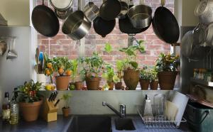 Колко оригинално и практично да добавите стайни растения и билки в интериора на вашата кухня. 7 съвети за дизайн
