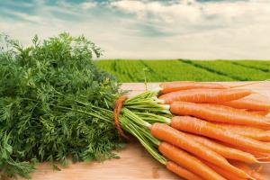 3 типични проблеми, които могат да възникнат при отглеждане на моркови